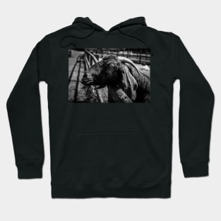 Community Farm Goat Hoodie